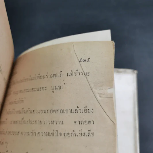 ไม่รักไม่สน - รมณียา รูปที่ 12