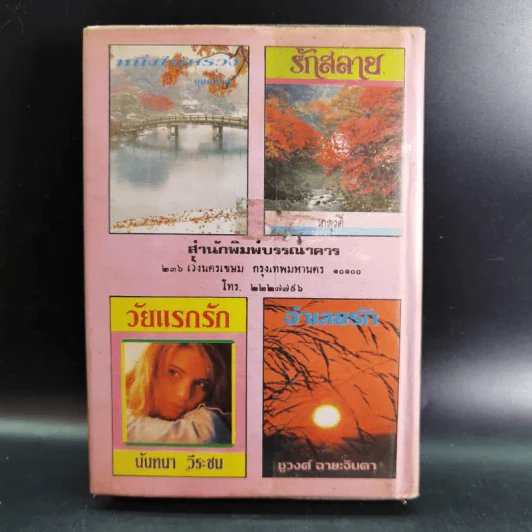ใต้ร่มแห่งรัก - วลัย นวาระ รูปที่ 2