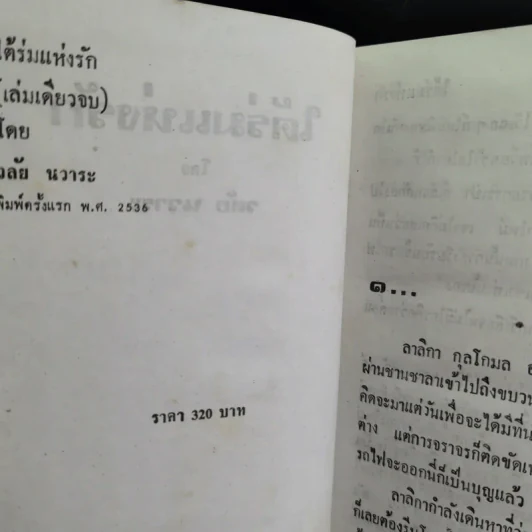 ใต้ร่มแห่งรัก - วลัย นวาระ รูปที่ 9