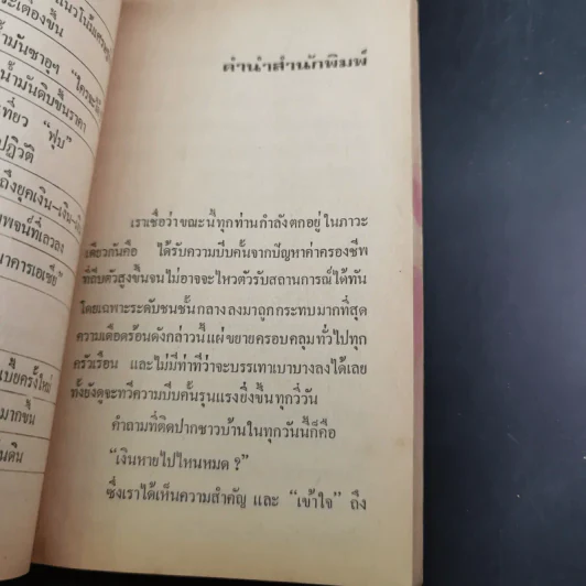 เงินหายไปไหน รูปที่ 10
