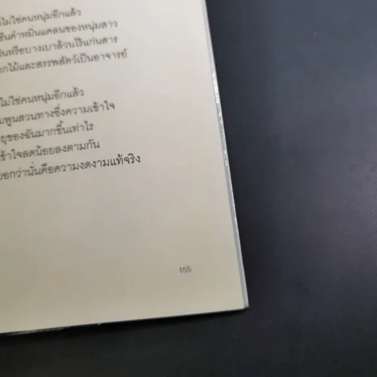 ชายหนุ่มผู้ไม่ทำอะไรเลย - องอาจ ชัยชาญชีพ รูปที่ 13