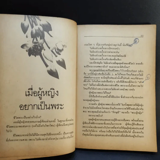 พระศรีอารย์มาแล้ว - บรรจบ บรรณรุจิ รูปที่ 11