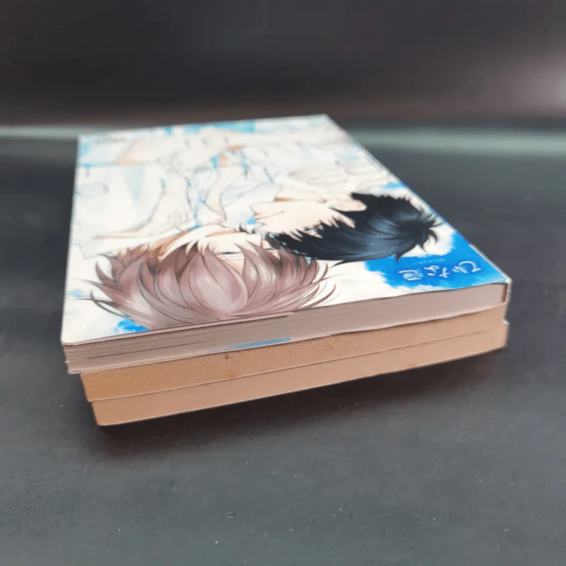 การ์ตูนวาย Blue Lust บลู ลัสท์ 3 เล่มจบ รูปที่ 6