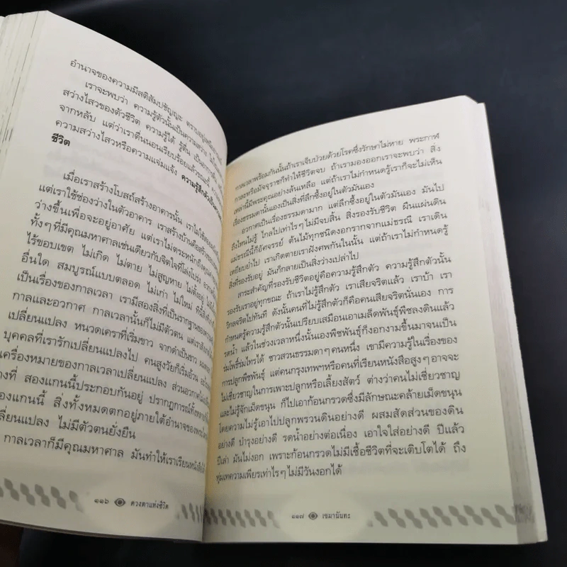 ดวงตาแห่งชีวิต - เขมานันทะ รูปที่ 16