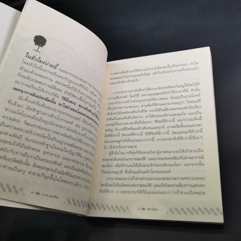 ดวงตาแห่งชีวิต - เขมานันทะ รูปที่ 15