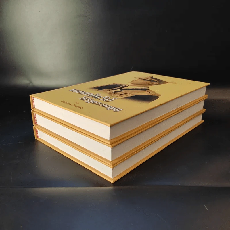 เอกกษัตริย์ใต้รัฐธรรมนูญ เล่ม 1-3 Boxset รูปที่ 8