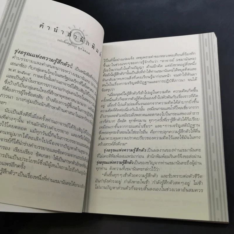 รุ่งอรุณแห่งความรู้สึกตัว - เขมานันทะ รูปที่ 13