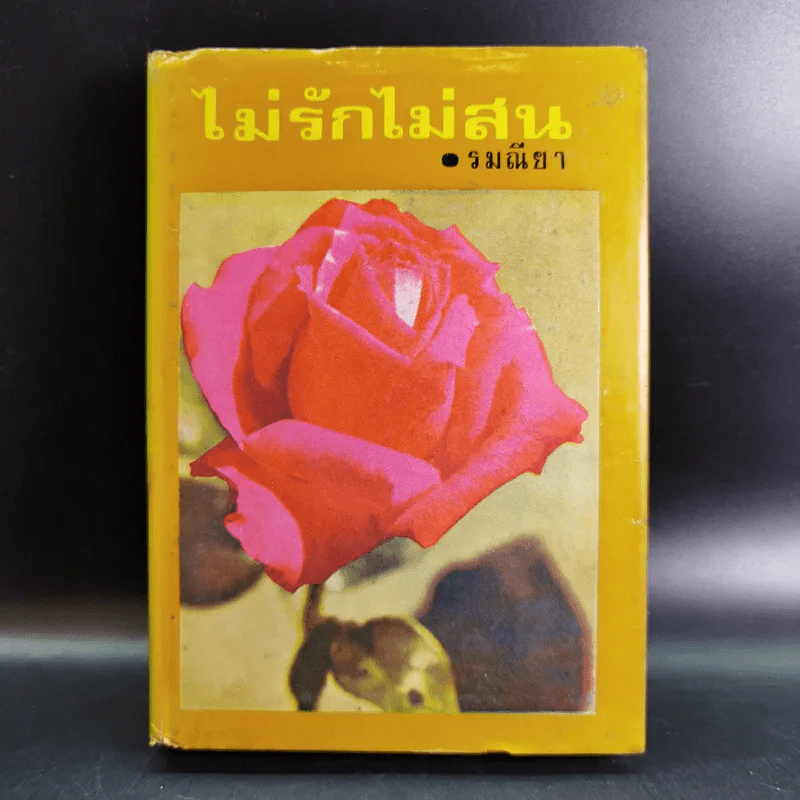 ไม่รักไม่สน - รมณียา รูปที่ 1