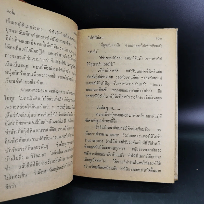 ไม่รักไม่สน - รมณียา รูปที่ 10