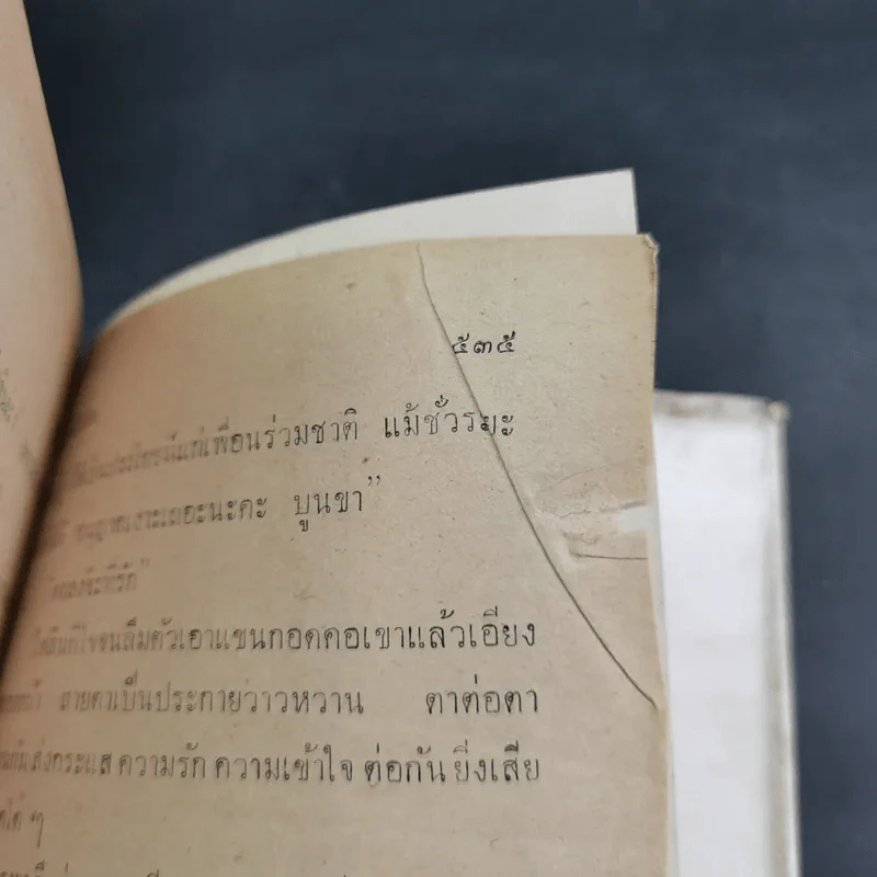 ไม่รักไม่สน - รมณียา รูปที่ 12