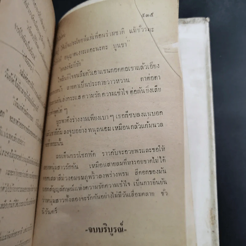 ไม่รักไม่สน - รมณียา รูปที่ 11