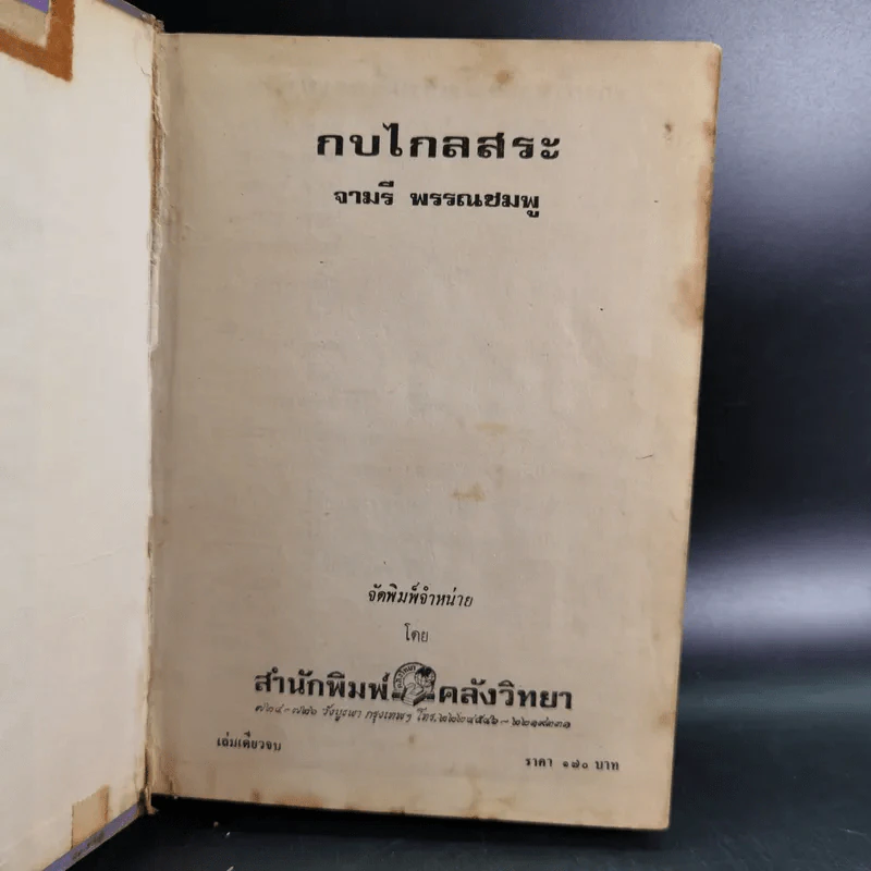 กบไกลสระ - จามรี พรรณชมพู รูปที่ 7