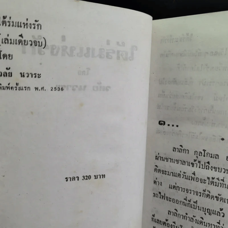 ใต้ร่มแห่งรัก - วลัย นวาระ รูปที่ 9