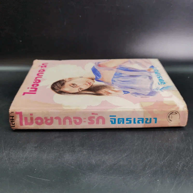 ไม่อยากจะรัก เล่ม 1 - จิตรเลขา รูปที่ 3
