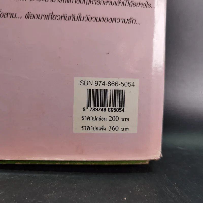 สามเปรี้ยวหนุ่มเปรี้ยว - จามรี พรรณชมพู รูปที่ 3