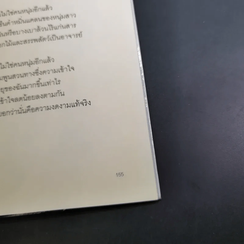ชายหนุ่มผู้ไม่ทำอะไรเลย - องอาจ ชัยชาญชีพ รูปที่ 13