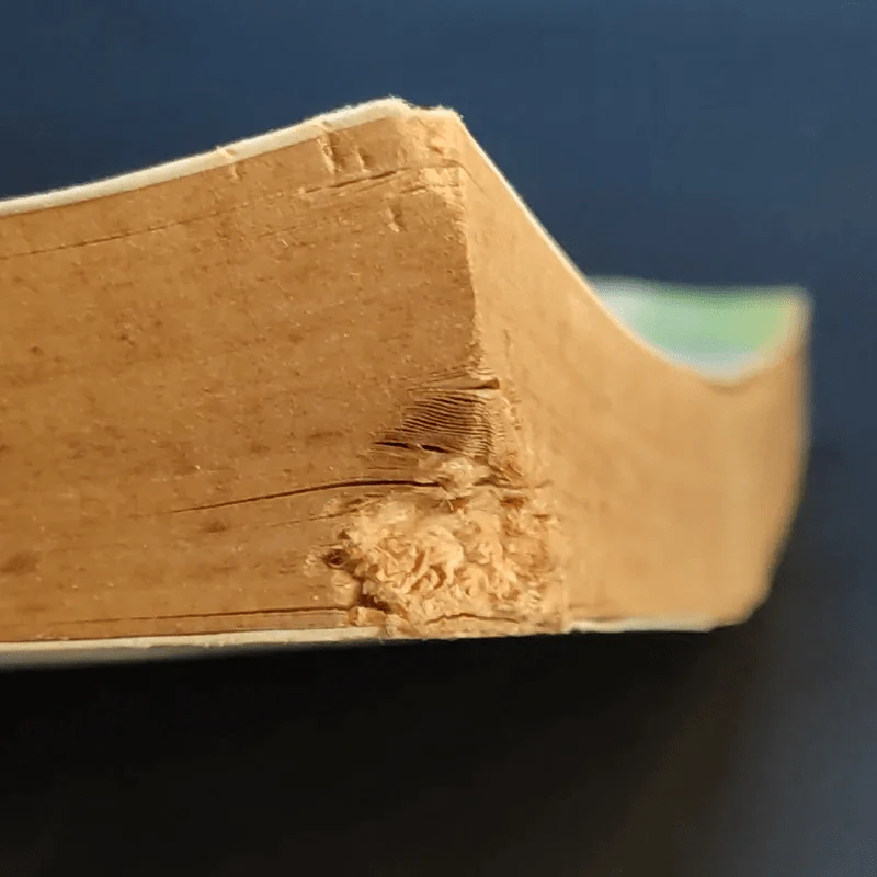 รัชกาลที่ 1 ของเจ้าพระยาทิพากรวงศ์ รูปที่ 7