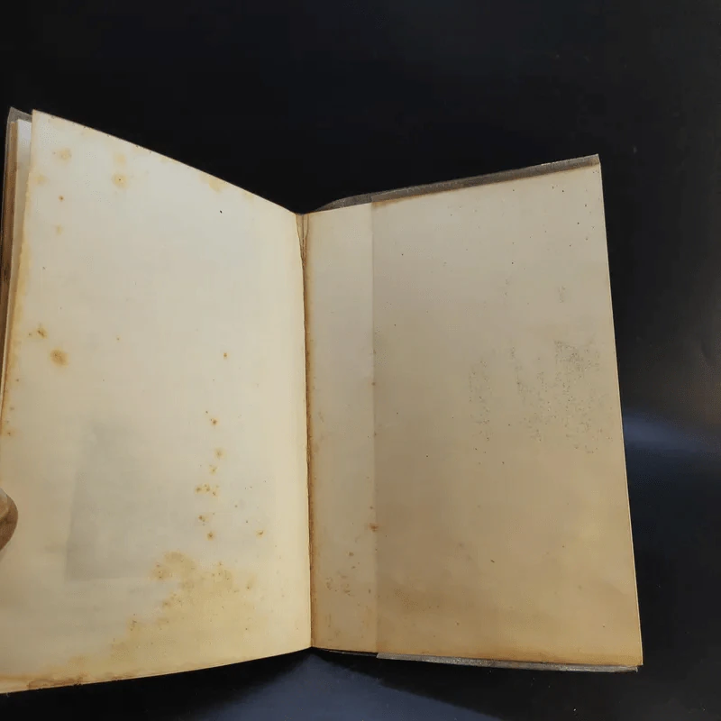 อัจฉริยลักษณ์และความเป็นวิทยาศาสตร์ของลายสือไทย - นเรศ นโรปกรณ์ รูปที่ 13