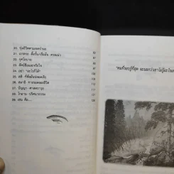 ปล่อยวางอย่างเซน - ละเอียด ศิลาน้อย รูปที่ 12