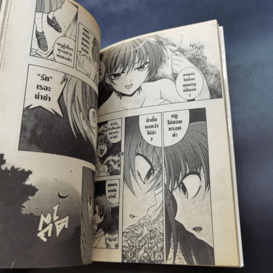 แว่วเสียงเรไร ภาค เฉลย (บทไถ่บาป) เล่ม 1-2 รูปที่ 10