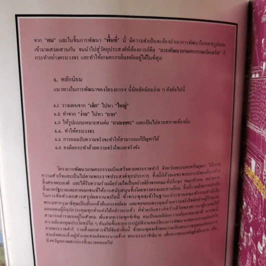โครงการพัฒนาเกษตรกรรมเบ็ดเสร็จตามพระราชดำริ จังหวัดพระนครศรีอยุธยา พ.ศ.2525-2529 รูปที่ 11