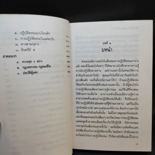 วิธีปฏิบัติให้ได้มรรคผล นิพพาน - อาจารย์ชวยง พิกุลสวัสดิ์ รูปที่ 11