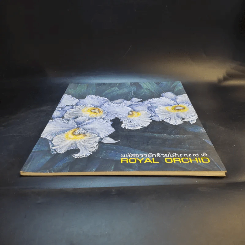 มหัศจรรย์กล้วยไม้นานาชาติ Royal Orchid รูปที่ 4