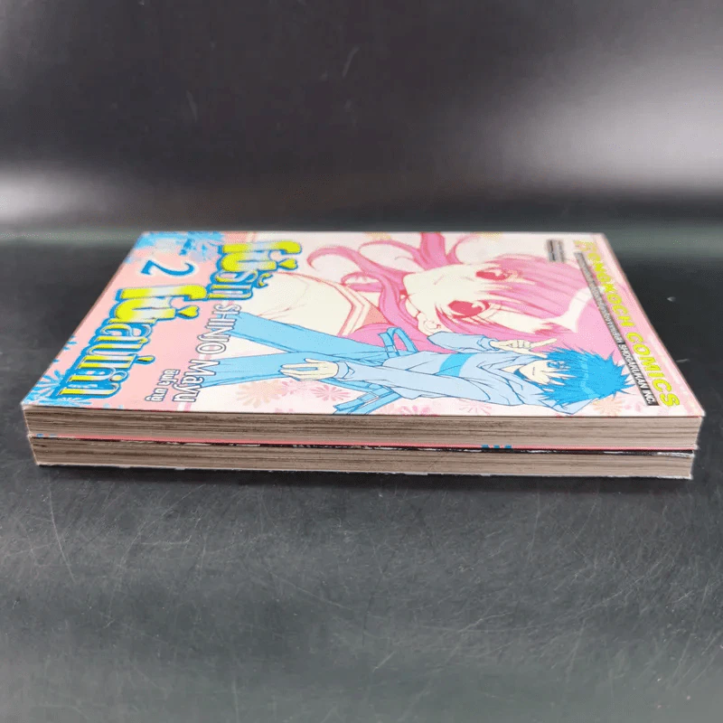 โซ่รักโซ่เสน่หา 2 เล่มจบ - Mayu Shinjo รูปที่ 5