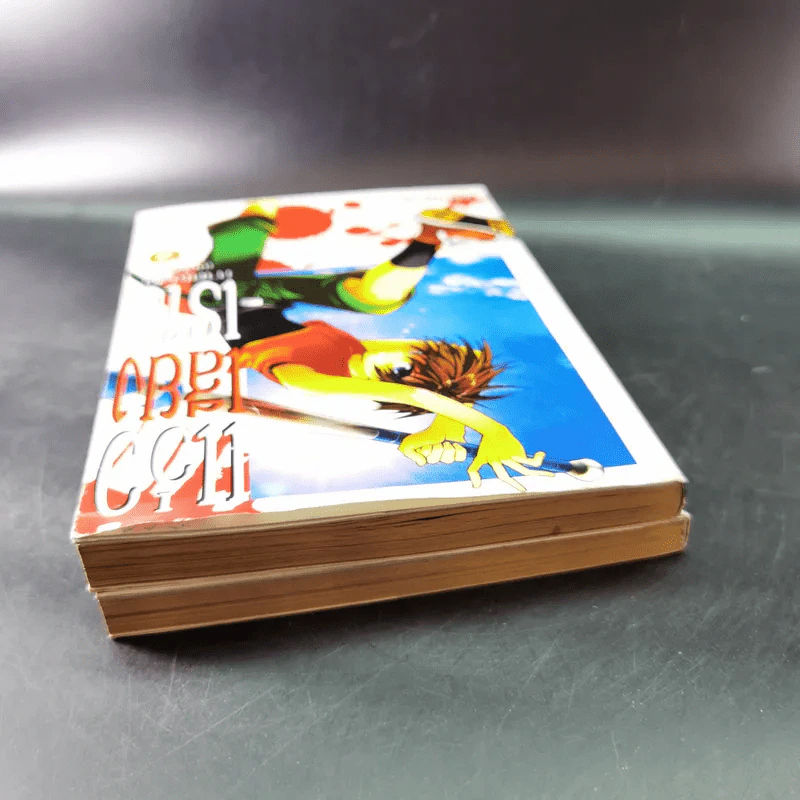 แว่วเสียงเรไร ภาค เฉลย (บทไถ่บาป) เล่ม 1-2 รูปที่ 6