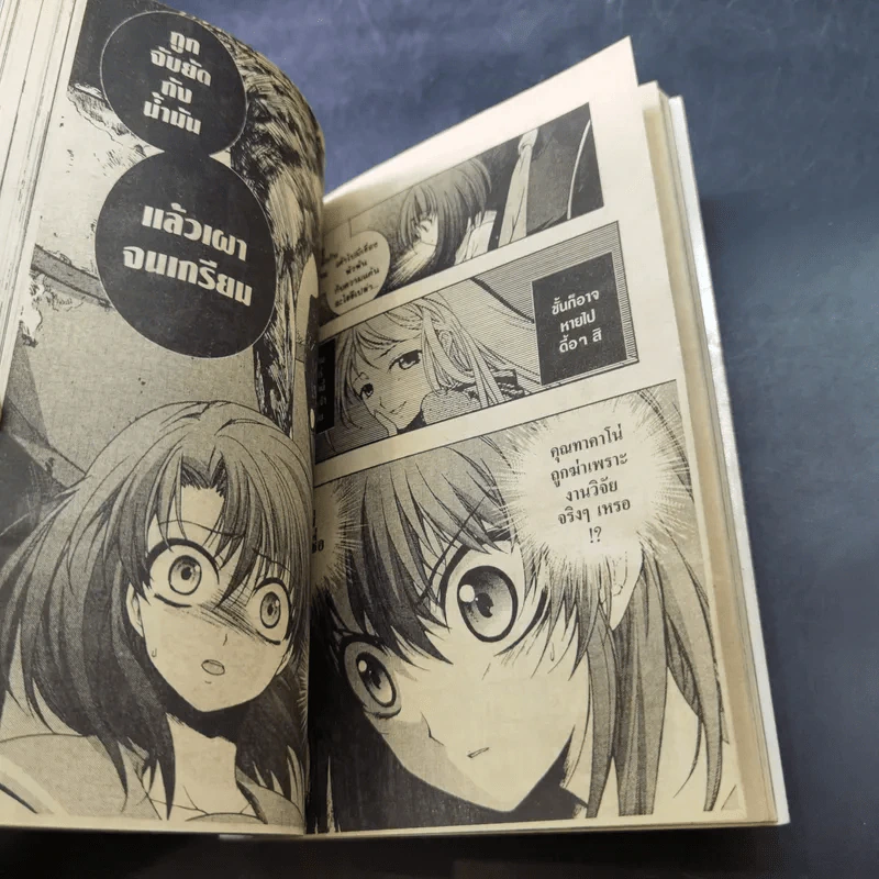 แว่วเสียงเรไร ภาค เฉลย (บทไถ่บาป) เล่ม 1-2 รูปที่ 14
