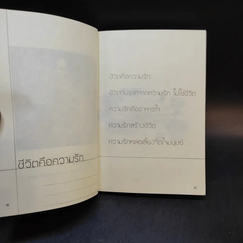 สาระแห่งชีวิต คือรักและเมตตา - พระอาจารย์มิตซูโอะ คเวสโก รูปที่ 9