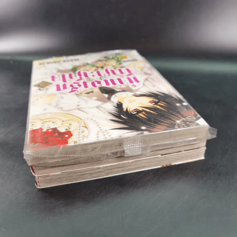 ทำนองรักจังหวะหัวใจ ภาค 2 เล่ม 1-3 รูปที่ 5