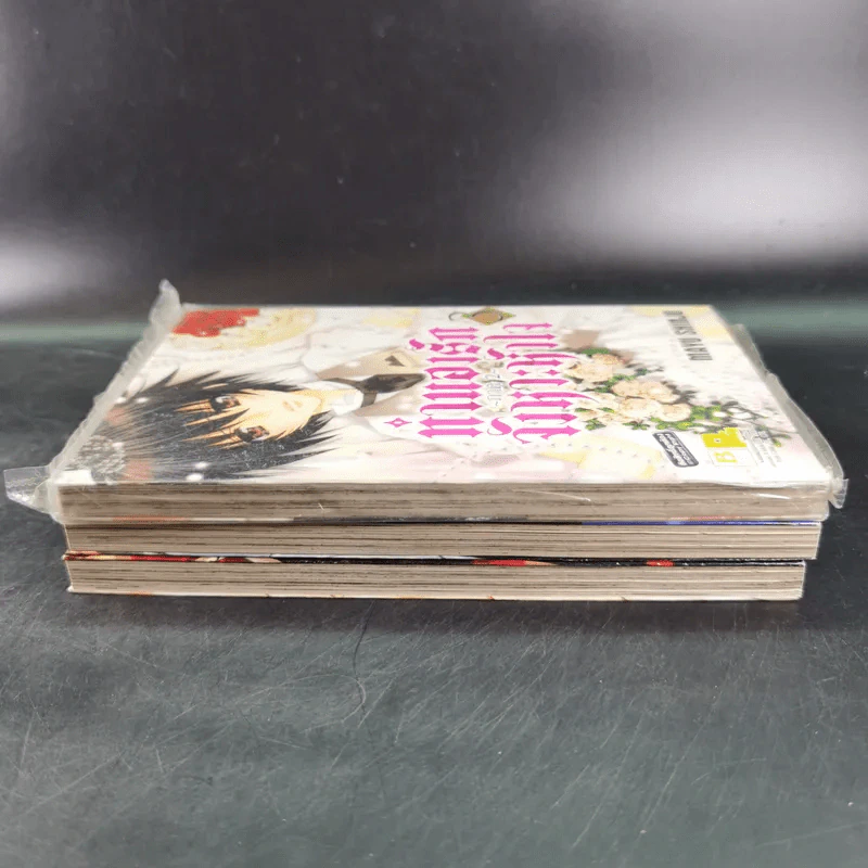ทำนองรักจังหวะหัวใจ ภาค 2 เล่ม 1-3 รูปที่ 6