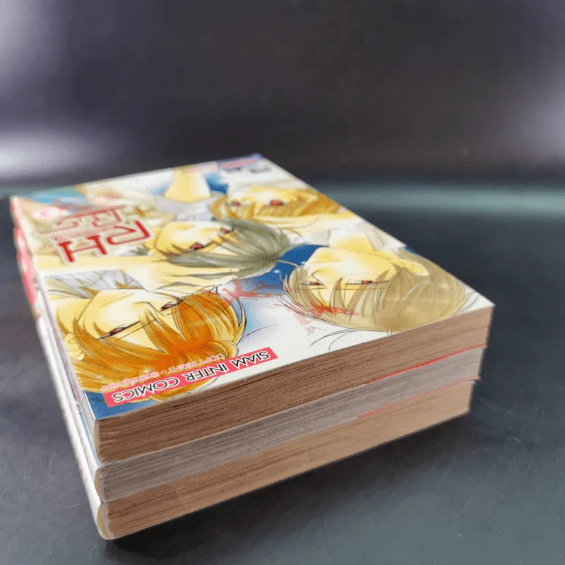 RH+Plus ขบวนการแวมไพร์ไขคดีลับ เล่ม 1-3 รูปที่ 3