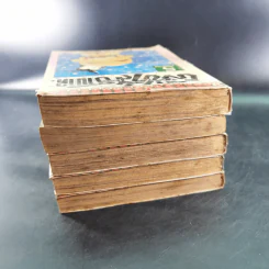 ผีซ่าส์กับฮานาดะ 5 เล่มจบ รูปที่ 6