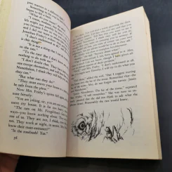 Mrs.Frisby and the Rats of NIMH - Robert C. O'Brien รูปที่ 12