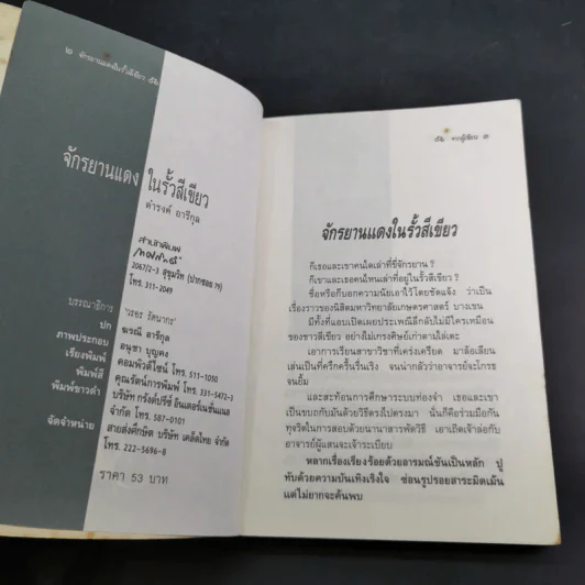 จักรยานแดงในรั้วสีเขียว - ดำรงค์ อารีกุล รูปที่ 7