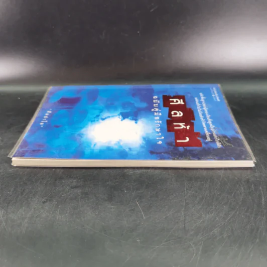ศีลห้า ฉบับคู่มือรักษาใจ - ศีลปาโล รูปที่ 6