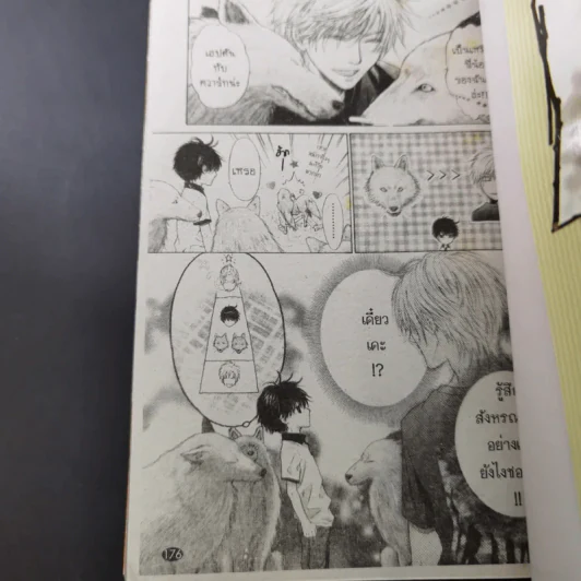 การ์ตูนวาย SUPER LOVERS สุดที่รัก เล่ม 1-7 รูปที่ 9