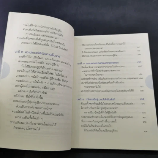 ไม่โกรธอีกต่อไป - พระริวโนะสุเกะ โคะอิเกะ รูปที่ 12