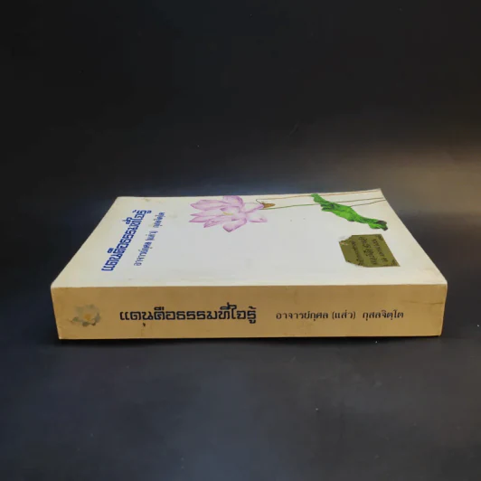 แดนคือธรรมที่ใจรู้ - อาจารย์กุศล (แส่ว) กุสลจิตโต รูปที่ 3