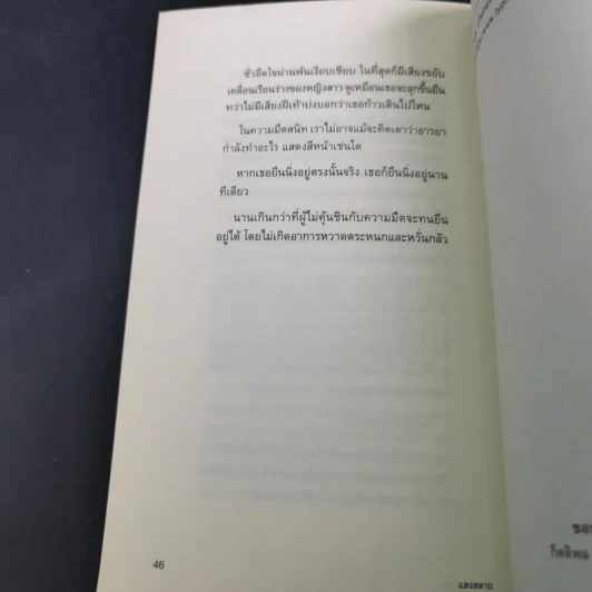 แสงสลาย - ปราบดา หยุ่น รูปที่ 10