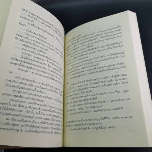 จินตนาการไม่รู้จบ The Neverending Story - มิชาเอ็ล เอ็นเด้ รูปที่ 11