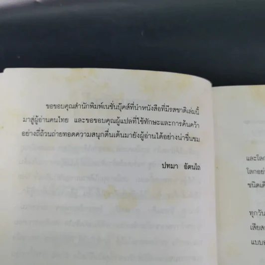 ไลอ้อนบอย - ซิซู คอร์เดอร์ รูปที่ 11