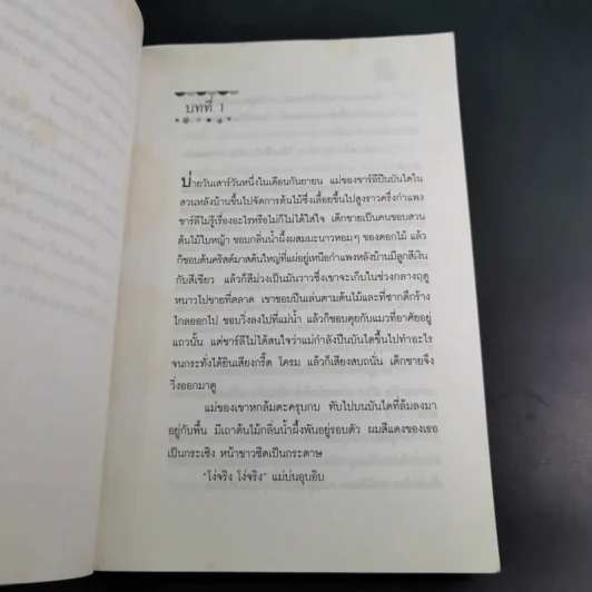ไลอ้อนบอย - ซิซู คอร์เดอร์ รูปที่ 13