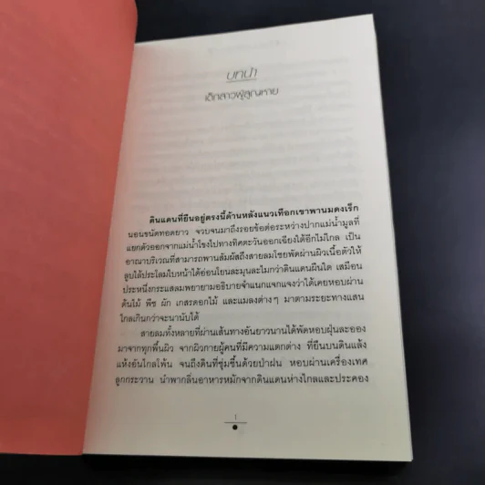 จันทราอุษาคเนย์ 2 เล่มจบ - วรรณวรรธน์ รูปที่ 10