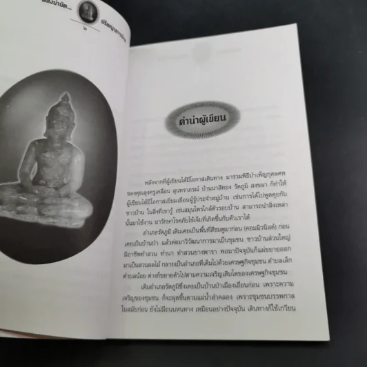 พลังบำบัด ปรัชญาชาวบ้าน - ชีวญาณ รูปที่ 11