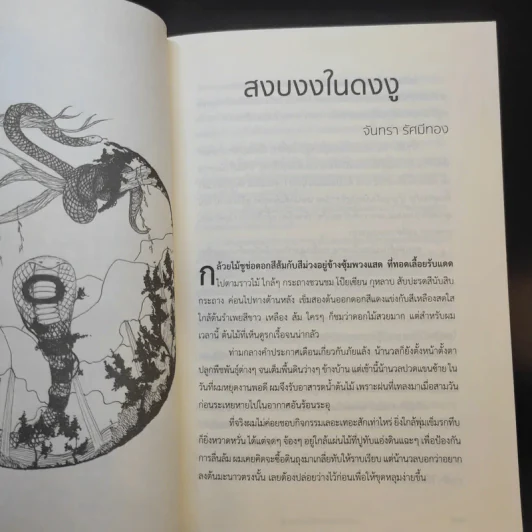 สงบงงในดงงู - วรรณกรรมรางวัลพานแว่นฟ้าประจำปี 2559 รูปที่ 11