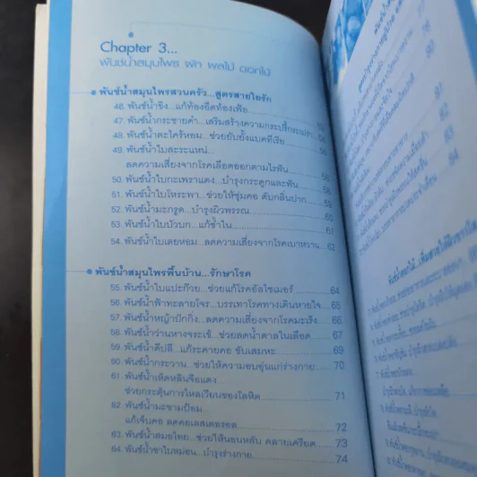เพิ่มสวยให้ผิวขาวใสด้วยสมุนไพรคั้นสด - Pannisa Tantip รูปที่ 13
