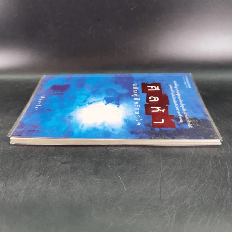 ศีลห้า ฉบับคู่มือรักษาใจ - ศีลปาโล รูปที่ 6